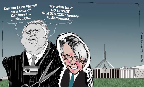 slaughter house...